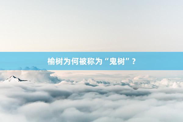 榆树为何被称为“鬼树”?