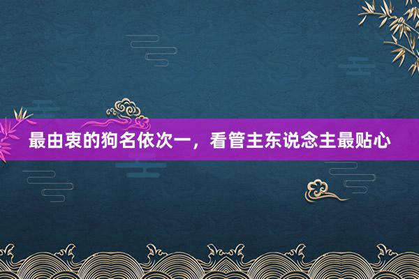 最由衷的狗名依次一,看管主东说念主最贴心