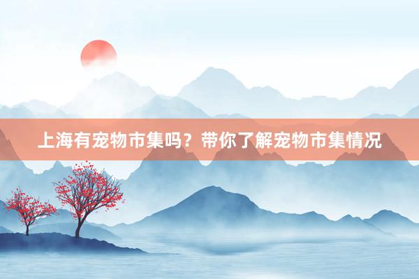 上海有宠物市集吗？带你了解宠物市集情况
