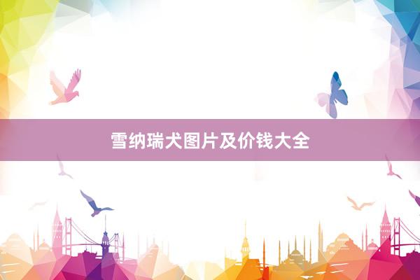 雪纳瑞犬图片及价钱大全